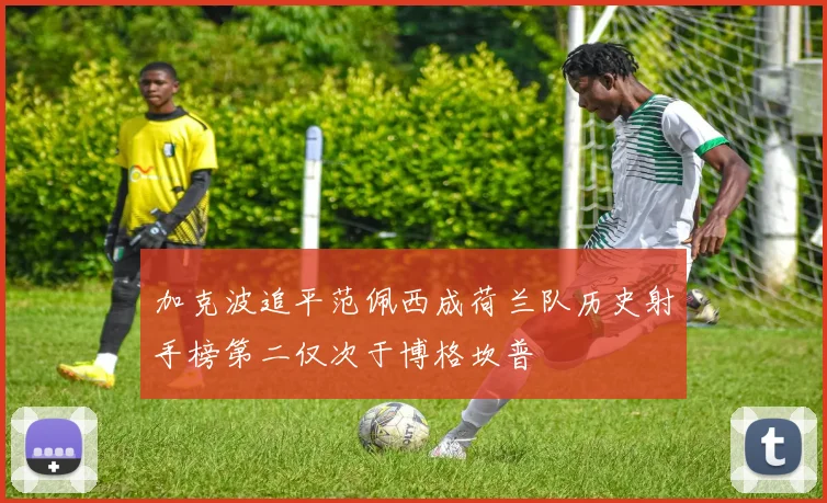 加克波追平范佩西成荷兰队历史射手榜第二仅次于博格坎普